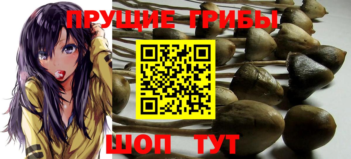 Серпухов  Галлюциногенные грибы GOLDEN TEACHER  Вход с VPN 