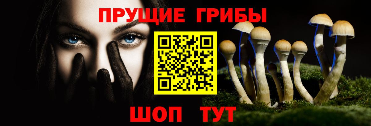 Псилоцибиновые грибы прущие грибы Серпухов
